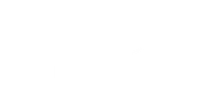 Kirvem Invest